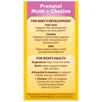Nature Made Prenatal Vitamin + Choline DHA Folic Acid

