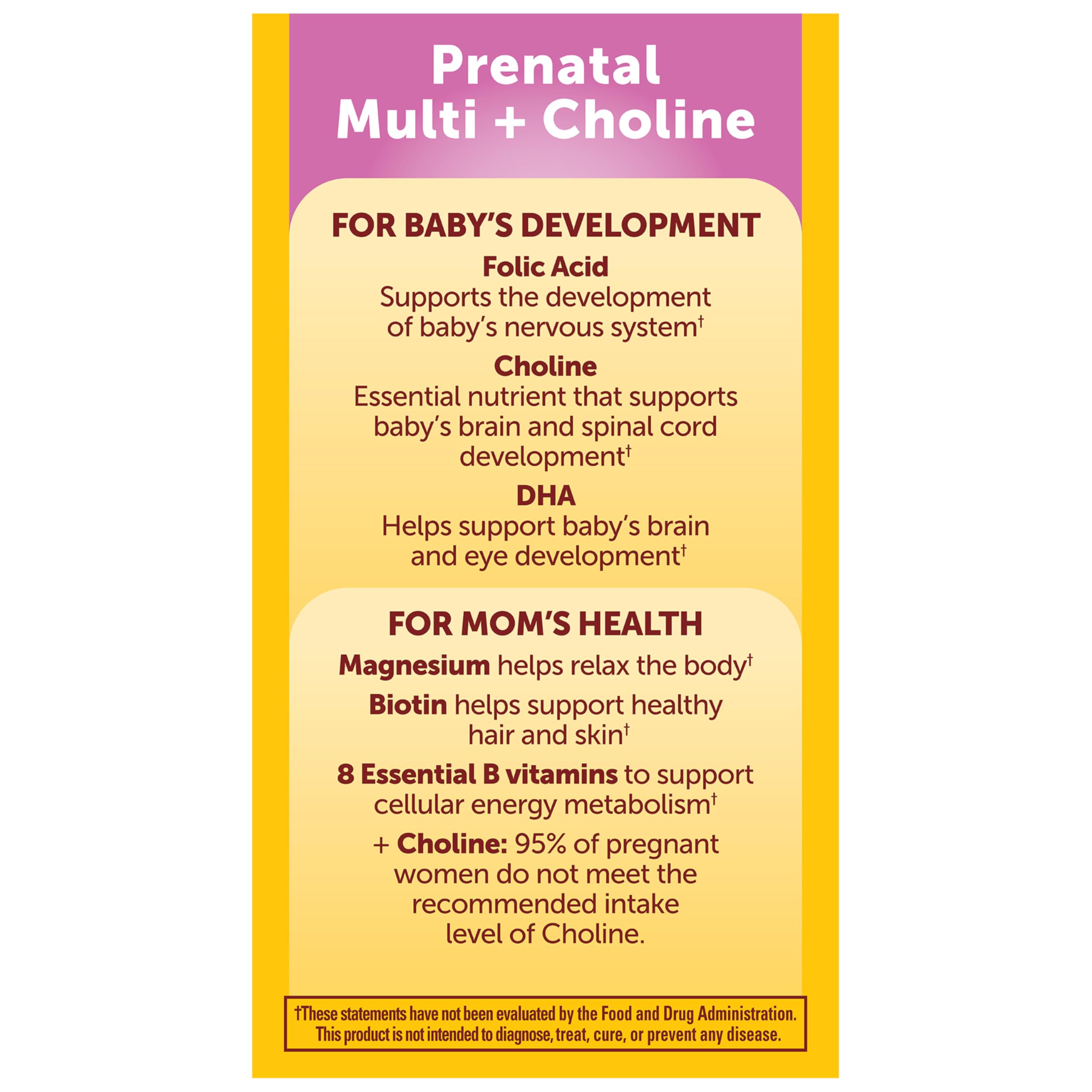 Nature Made Prenatal Vitamin + Choline DHA Folic Acid

