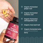 Ancient Nutrition Collagen Peptides Supplement

