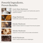 Stonehenge Health Dynamic Mushrooms – Brain & Immune Support

