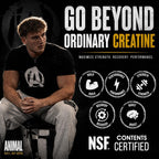 Animal Creatine Monohydrate Powder – Micronized Performance

