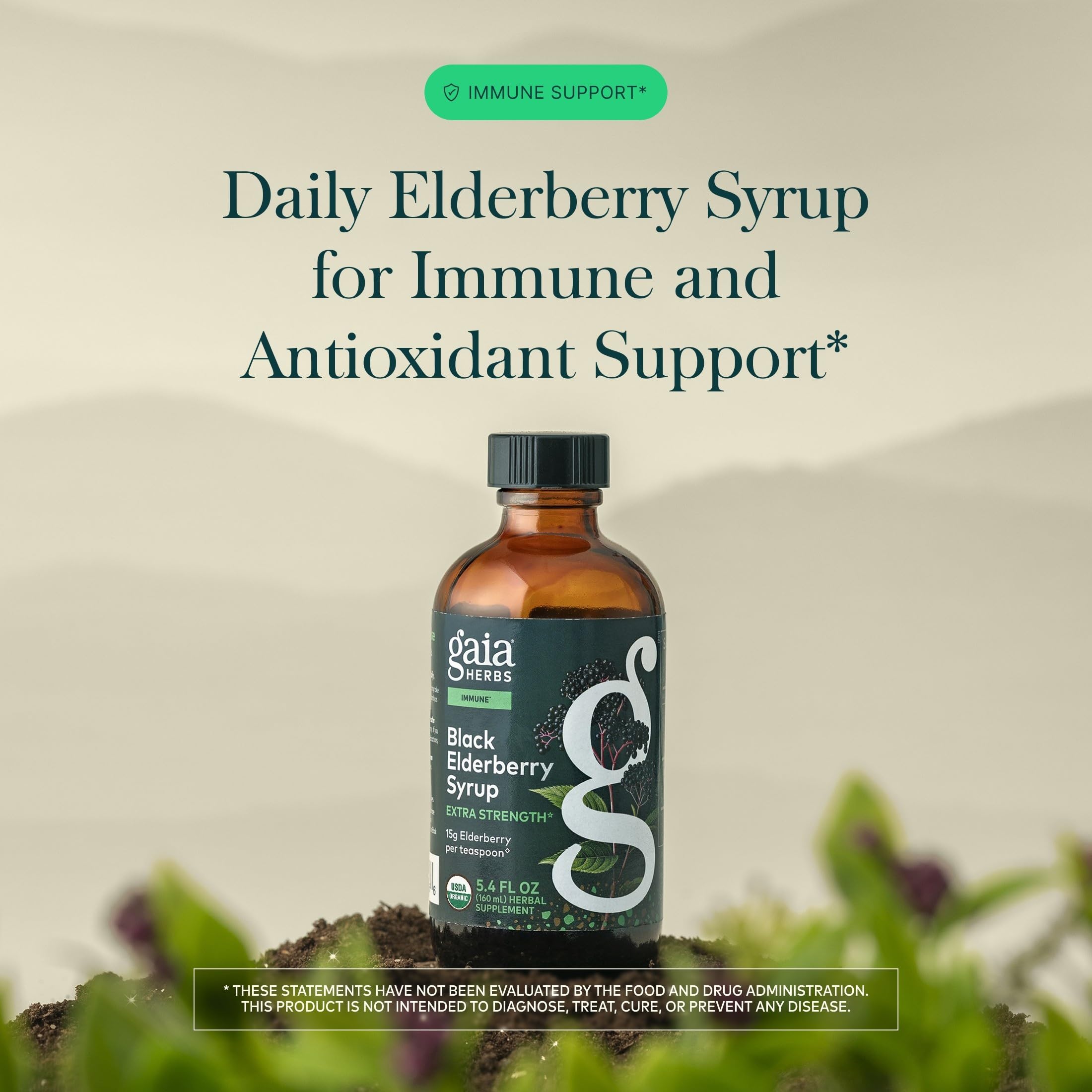 Gaia Herbs Black Elderberry Syrup for Immune Support


