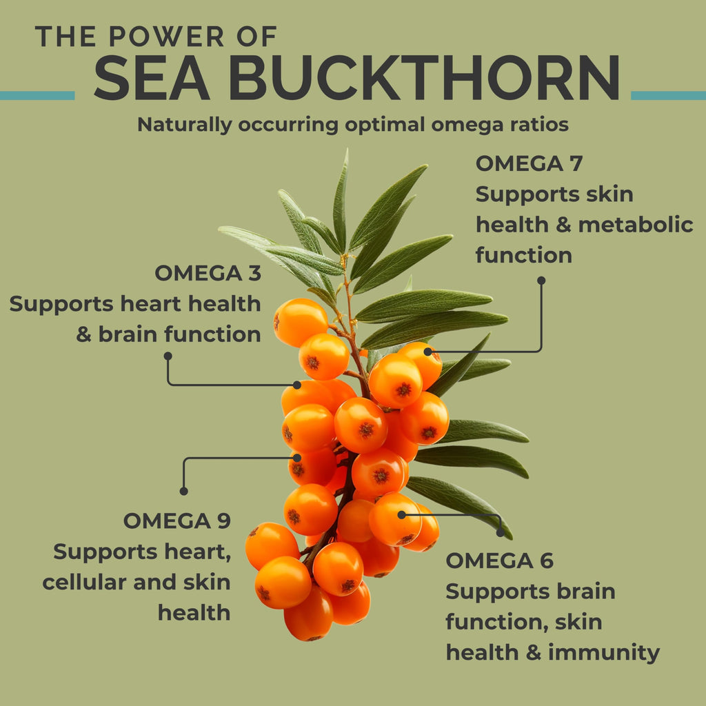 SeabuckWonders Organic Sea Buckthorn Oil Softgels

