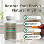 Sculptique Lymphatic Drainage Capsules | Vegan Detox

