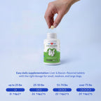 Milk Thistle Liver & Kidney Support for Pets | Coco and Luna

