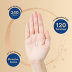 Methylated Multivitamin for Men and Women | High-Absorption

