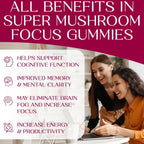 Auri Nutrition Focus Gummies - Cognitive Support

