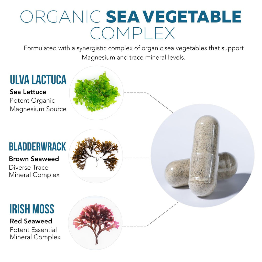Organic Whole Food Magnesium - Sea Vegetable Complex

