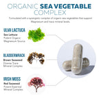 Organic Whole Food Magnesium - Sea Vegetable Complex

