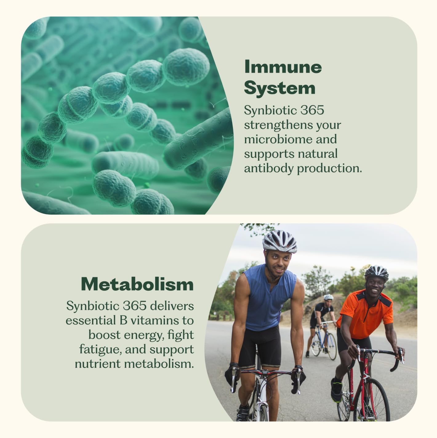 Synbiotic 365 Probiotic Supplement for Digestive Health

