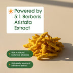 NatureBell Berberine Supplement | Plant-Based Wellness

