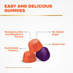 Align Probiotic + Fiber Gummies for Digestive Health

