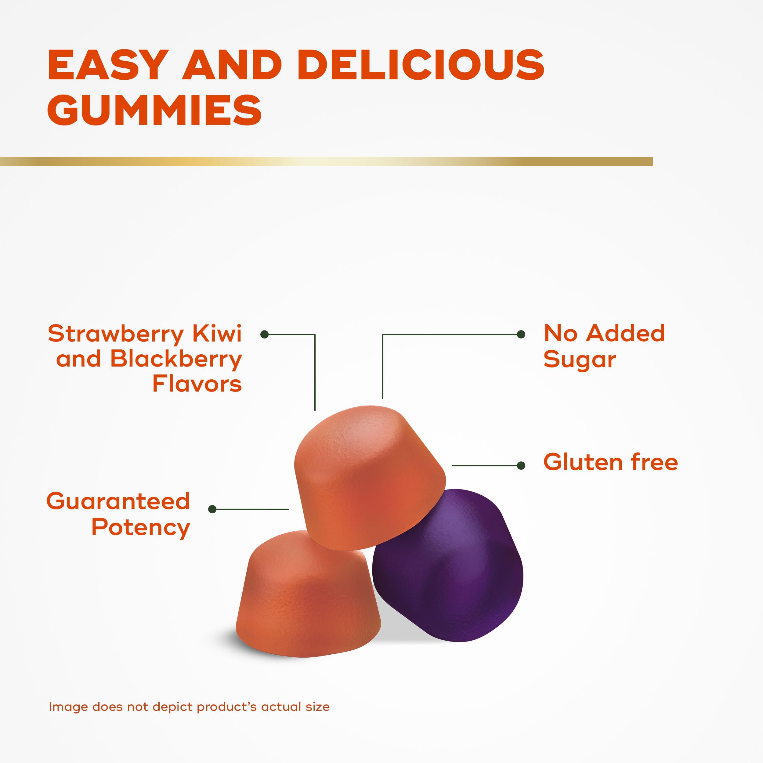 Align Probiotic + Fiber Gummies for Digestive Health

