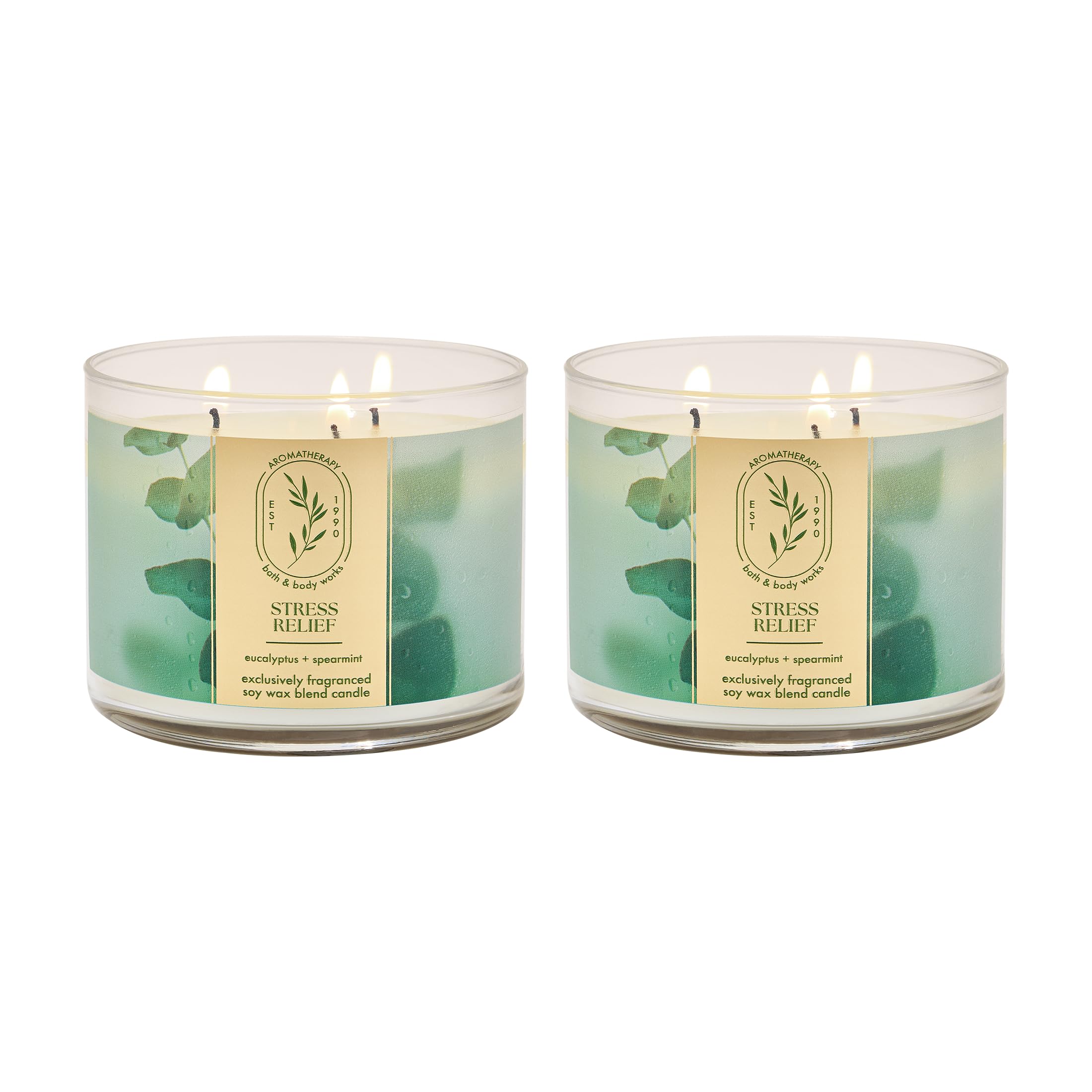 Bath & Body Works 3-Wick Candle Soy Wax Blend