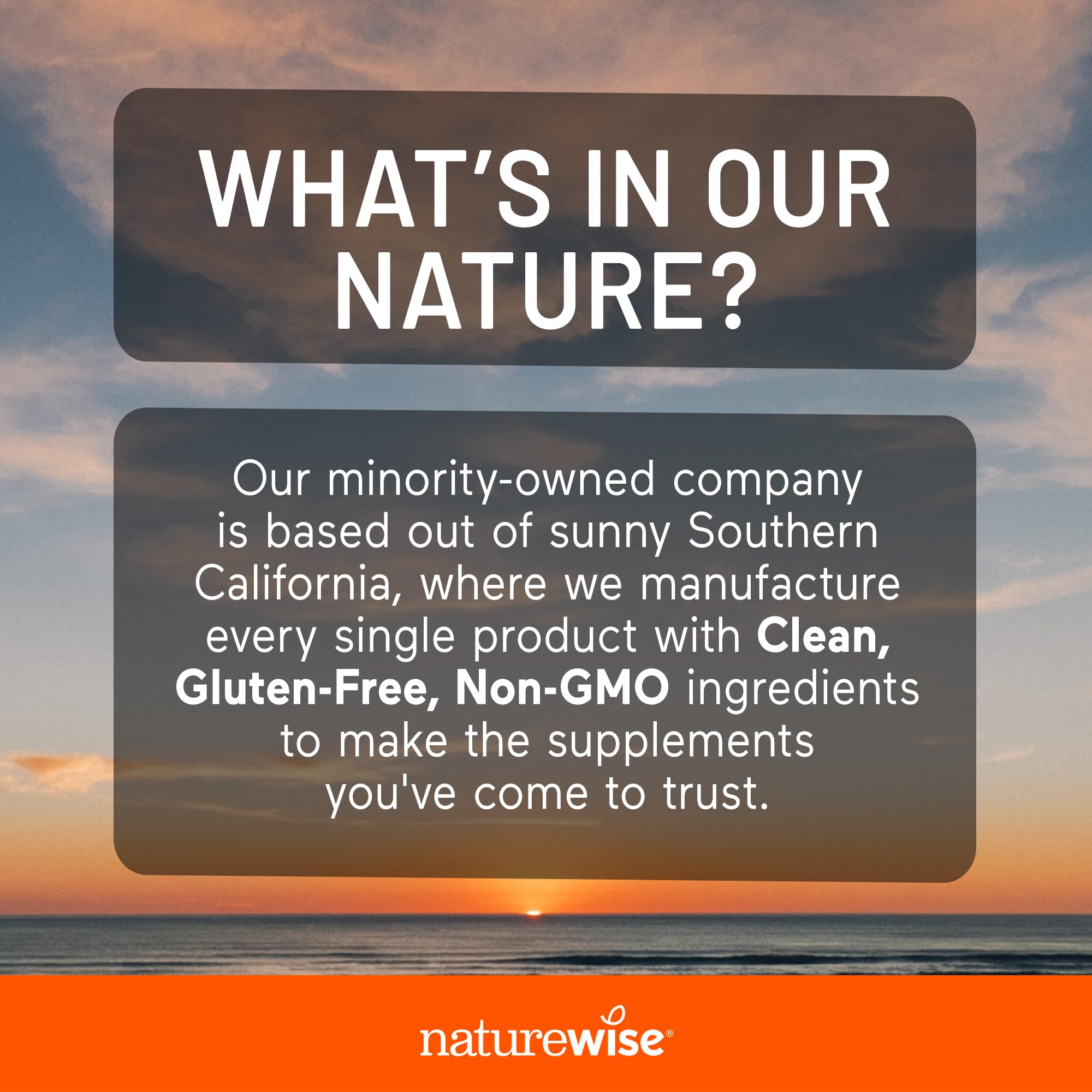 NatureWise Turmeric Curcumin + Ginger Supplement - Vegan

