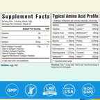 Terranics Multi Collagen Peptides Powder Unflavored|Type I-X


