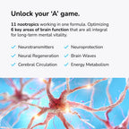 Mind Lab Pro Universal Nootropic Brain Booster | Focus

