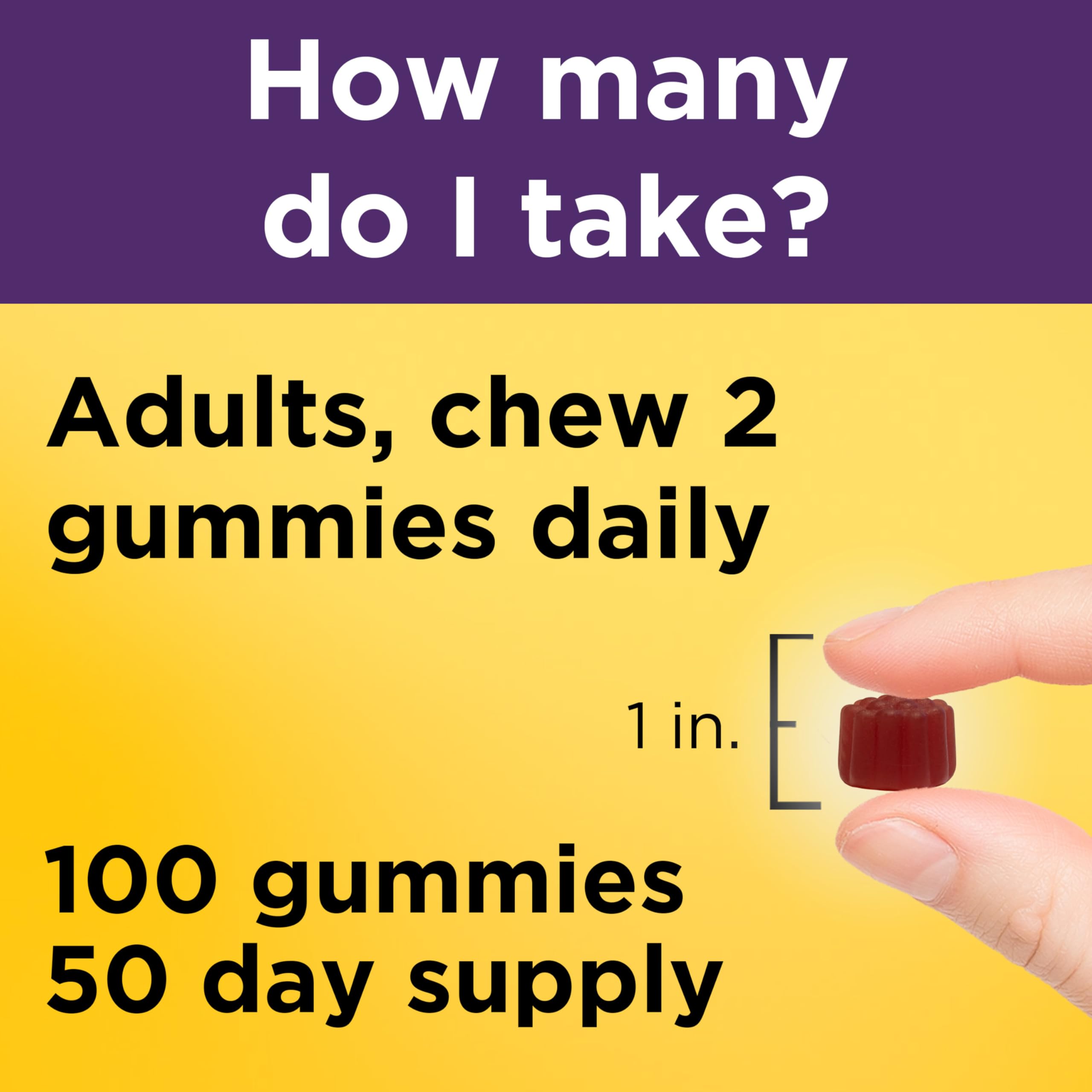 Nature Made Elderberry Gummies for Immune Support

