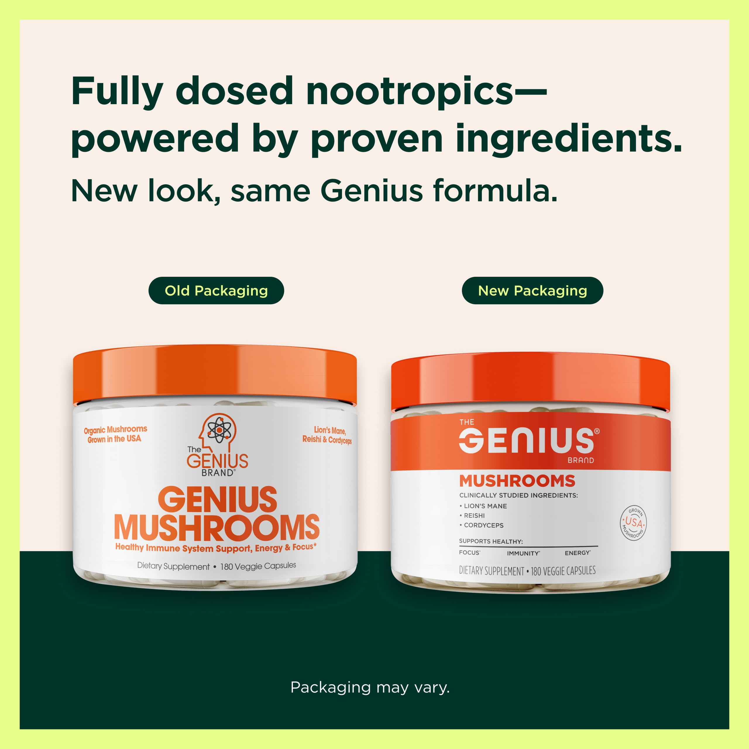 Genius Mushroom Supplement - Brain Nootropic Blend

