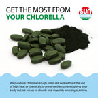 Sun Chlorella Greens Algae Superfood for Immune & Gut Health

