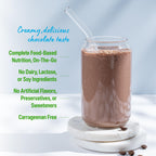 Orgain Organic Vegan Meal Replacement Protein Powder

