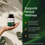 NatureBell Berberine Supplement | Plant-Based Wellness

