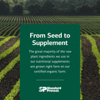 Allerplex Lung Health Support Supplement | Standard Process

