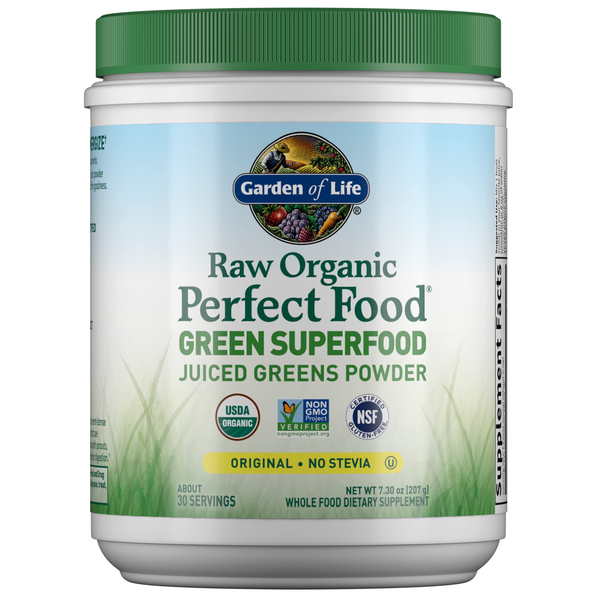 Garden of Life Raw Organic Perfect Food Greens Powder

