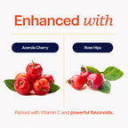 Vitamin C Timed-Release Capsules with Acerola & Rose Hips


