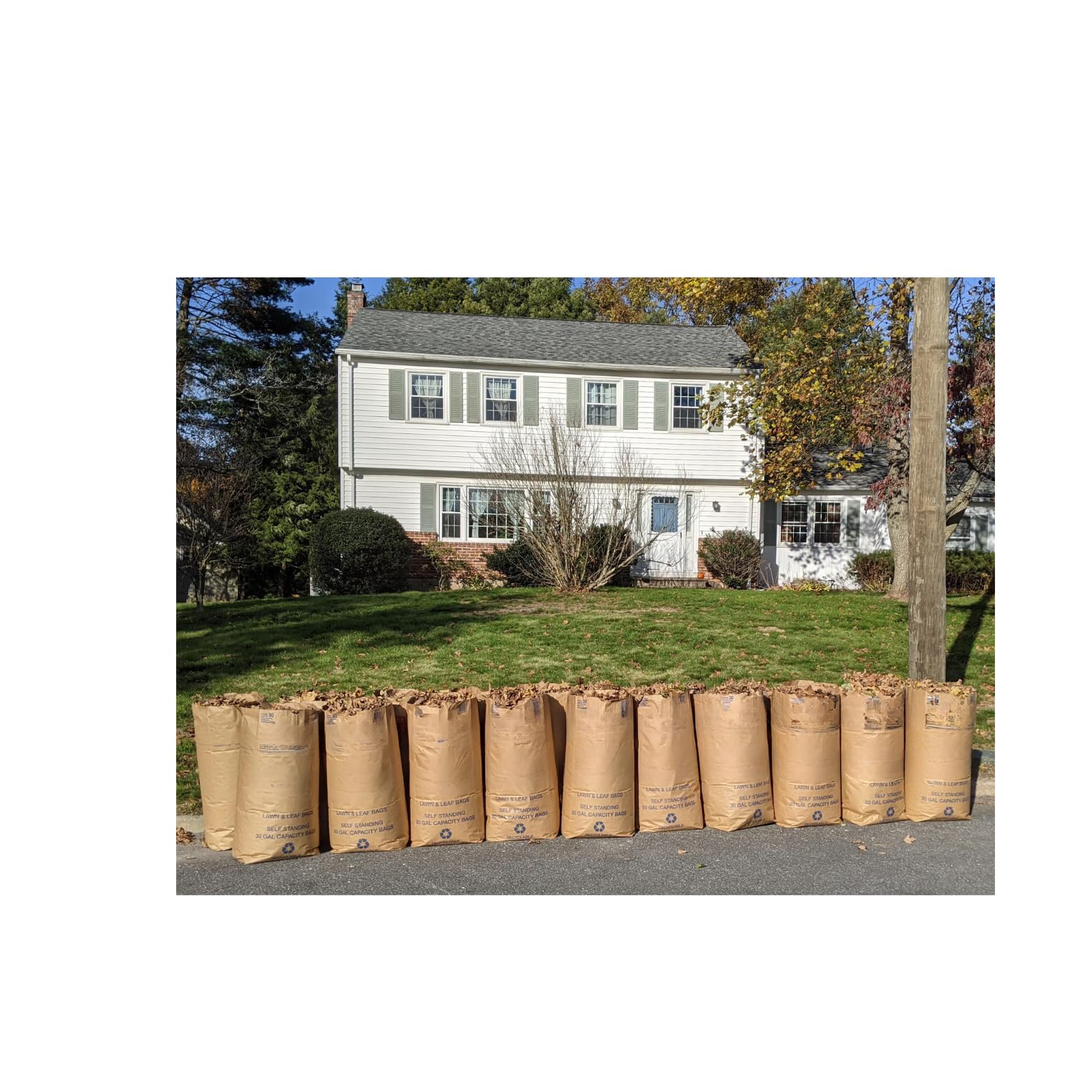 Necessia Yard Waste Bags with Gloves – Heavy-Duty Self-Standing

