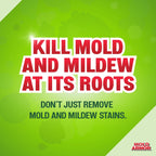Mold Armor Mold Kill & Control Spray | Hard Surfaces

