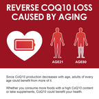 Nature Target CoQ10 Softgels with PQQ and Organic Olive Oil

