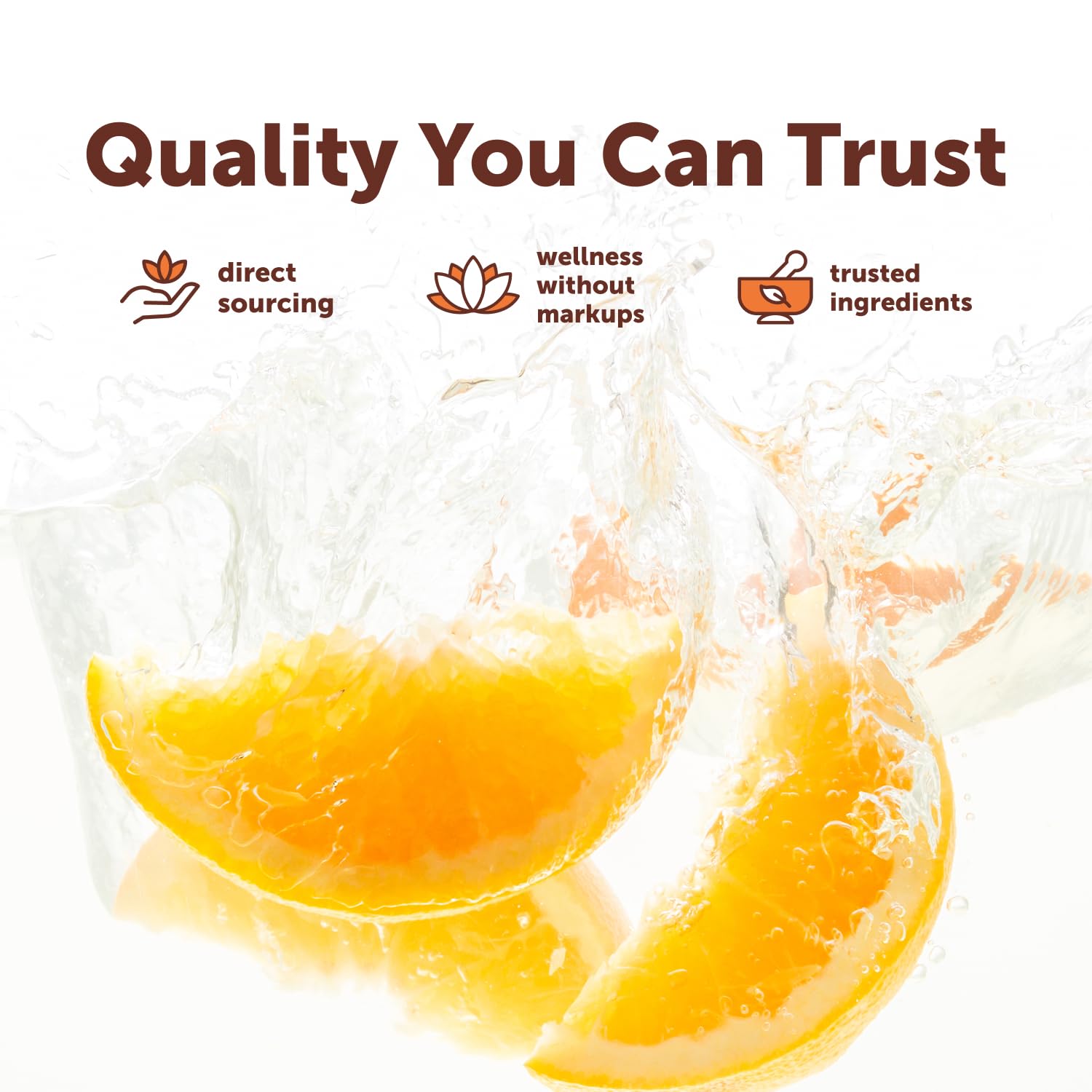 Quercetin with Vitamin C & Zinc | Micro Ingredients

