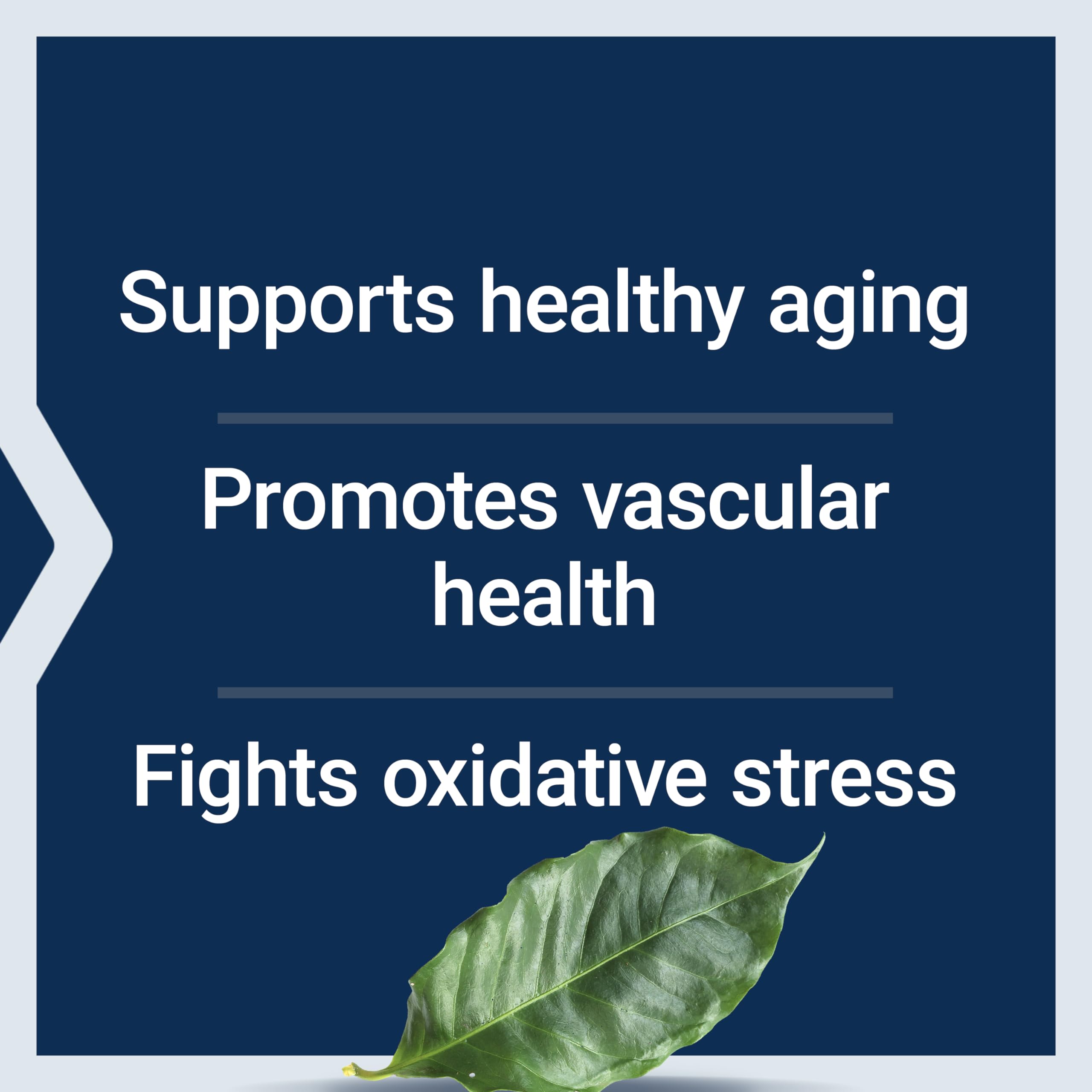 Life Extension Pycnogenol Pine Bark Extract – Supplement

