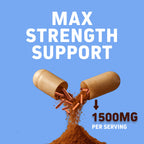 Herbtonics Pure Ceylon Cinnamon Capsules for Immune Support

