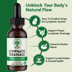 Lymphatic Drainage Drops – Herbal Lymphatic Support

