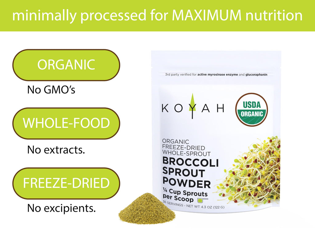 KOYAH Broccoli Sprout Powder | Easy Nutrition

