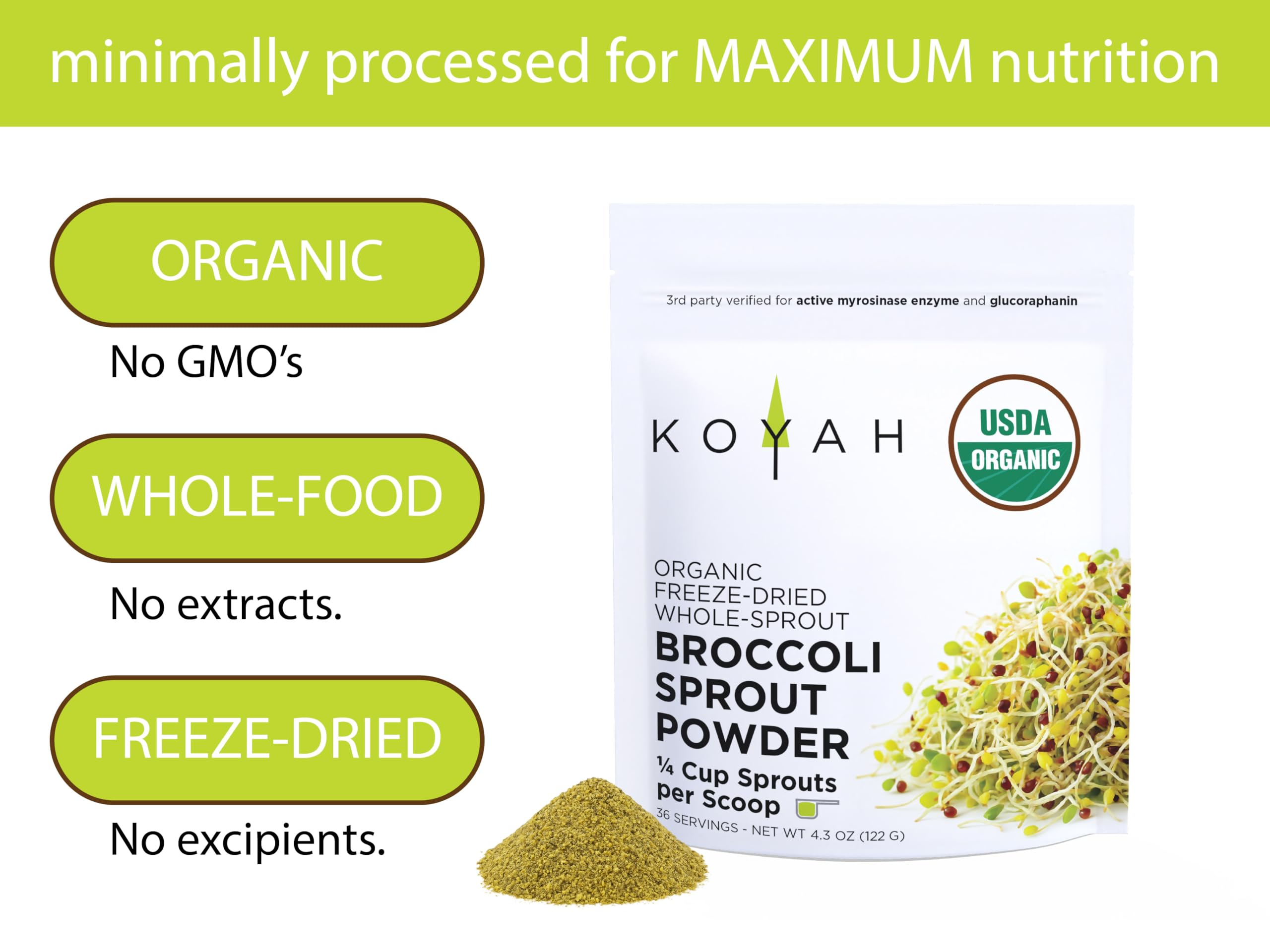 KOYAH Broccoli Sprout Powder | Easy Nutrition

