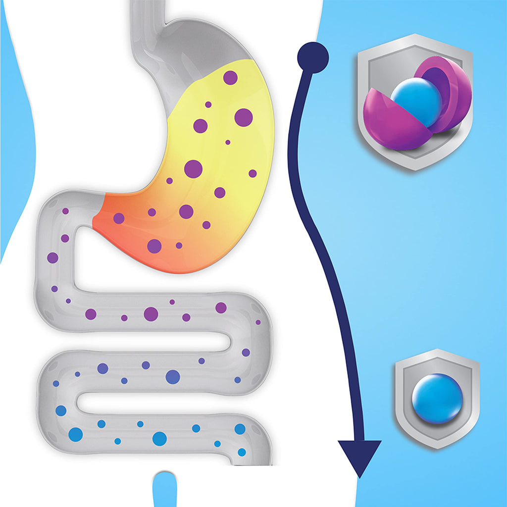 Digestive Advantage Probiotic Gummies for Digestive Health

