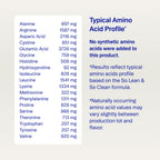 Ora Organic Plant-Based Protein Powder - 23g Protein

