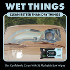 DUDE Wipes Medicated Witch Hazel Flushable Wipes

