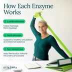 Proteolytic Enzyme Capsule Dietary Supplement


