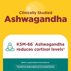 Nature Made Ashwagandha and Reishi Capsules | Calm Support

