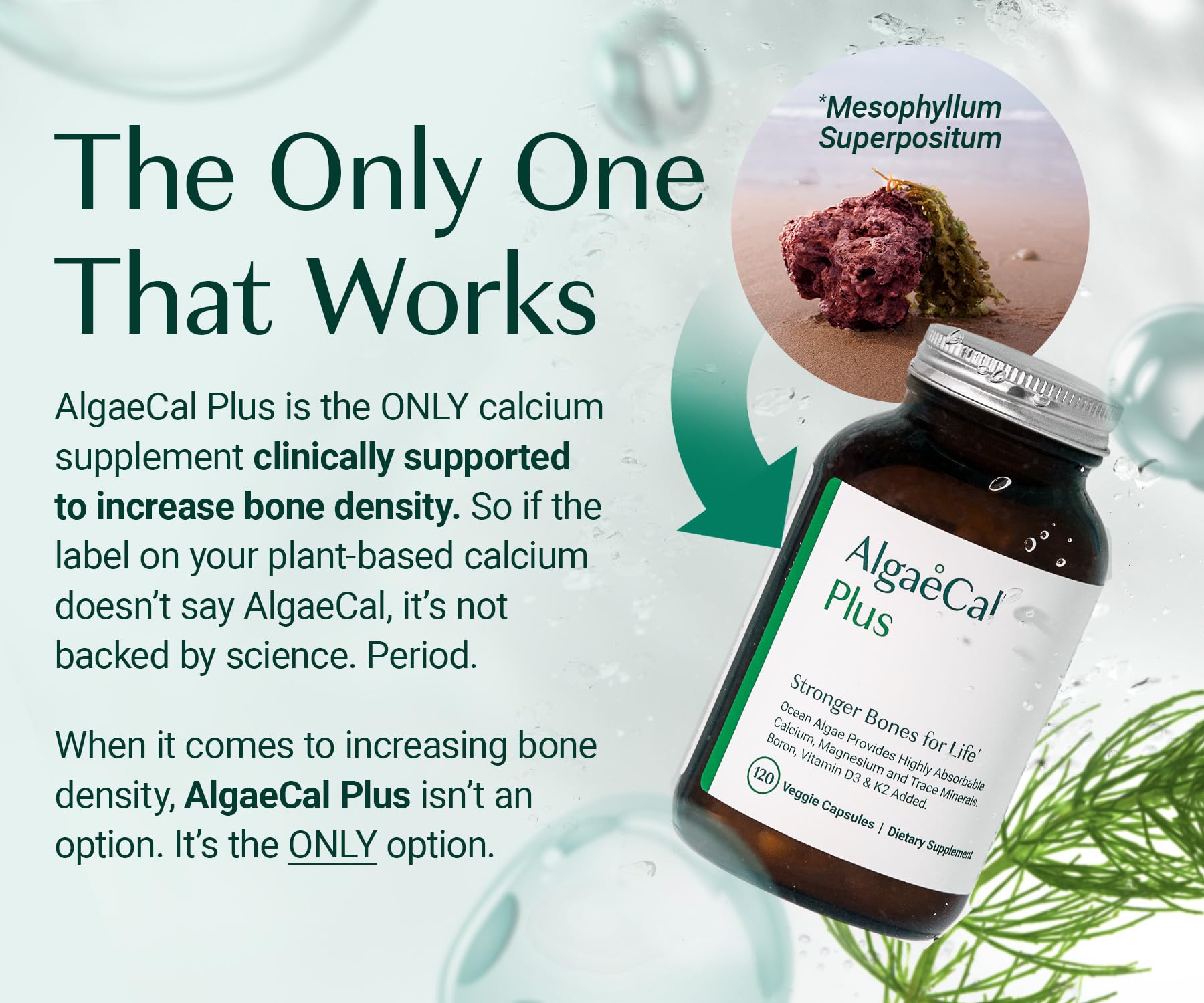 ALGAECAL Organic Red Algae Calcium with D3 & K2 MK7

