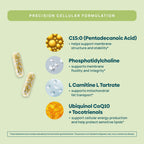 C15:0 Pentadecanoic Acid Supplement for Cellular Health

