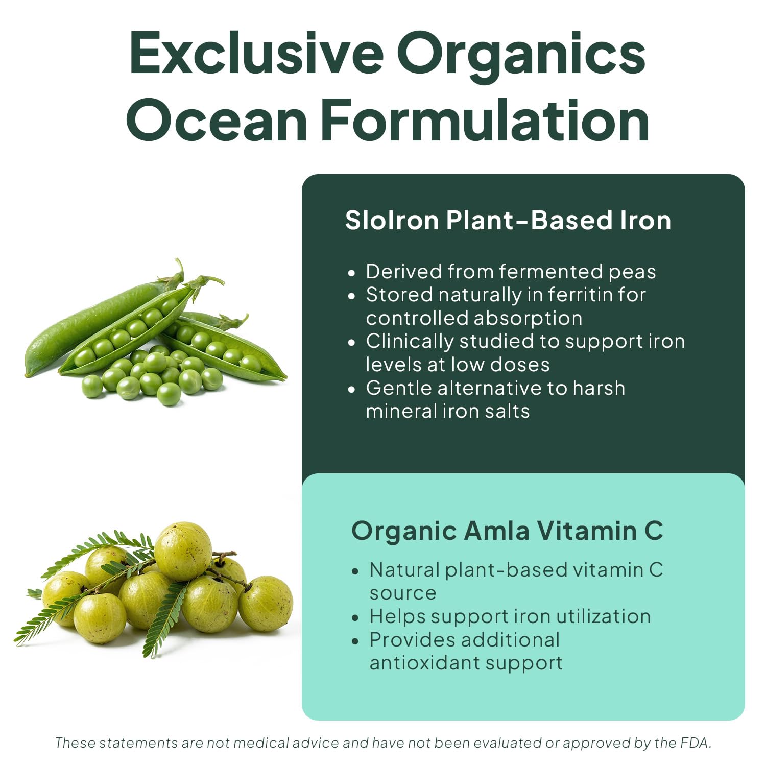 Organics Ocean Iron Supplement with Vitamin C - Plant-Based

