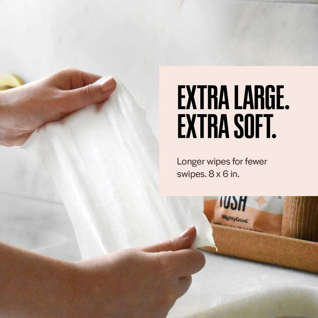 Wipe That Tush Flushable Wipes On-The-Go|Hypoallergenic Aloe

