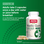 Jarrow Formulas Mastic Gum 1000 mg Veggie Capsules

