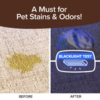 Bull Shot Carpet Spot & Stain Remover - Foam-Based Formula

