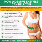 Wholesome Wellness Digestive Enzymes with Probiotics

